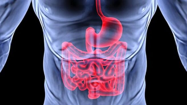 Choroby gastrointestinálneho traktu