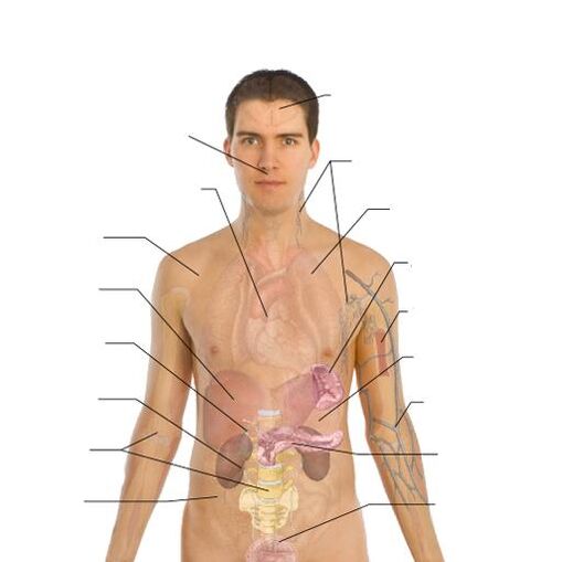 príznaky prítomnosti parazitov v rôznych orgánoch